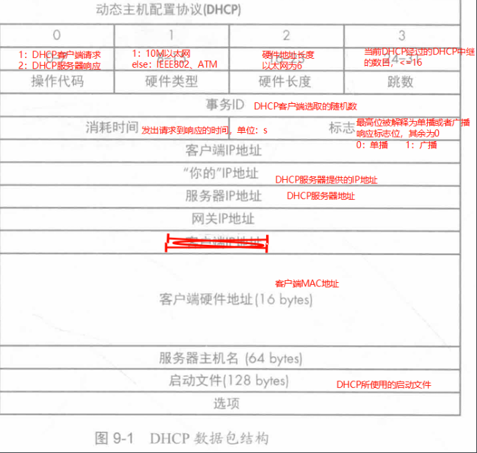 image-20240827171252243