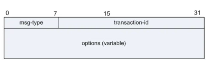 image-20240827214155590